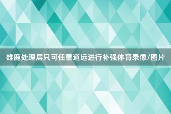 雄鹿处理层只可任重道远进行补强体育录像/图片